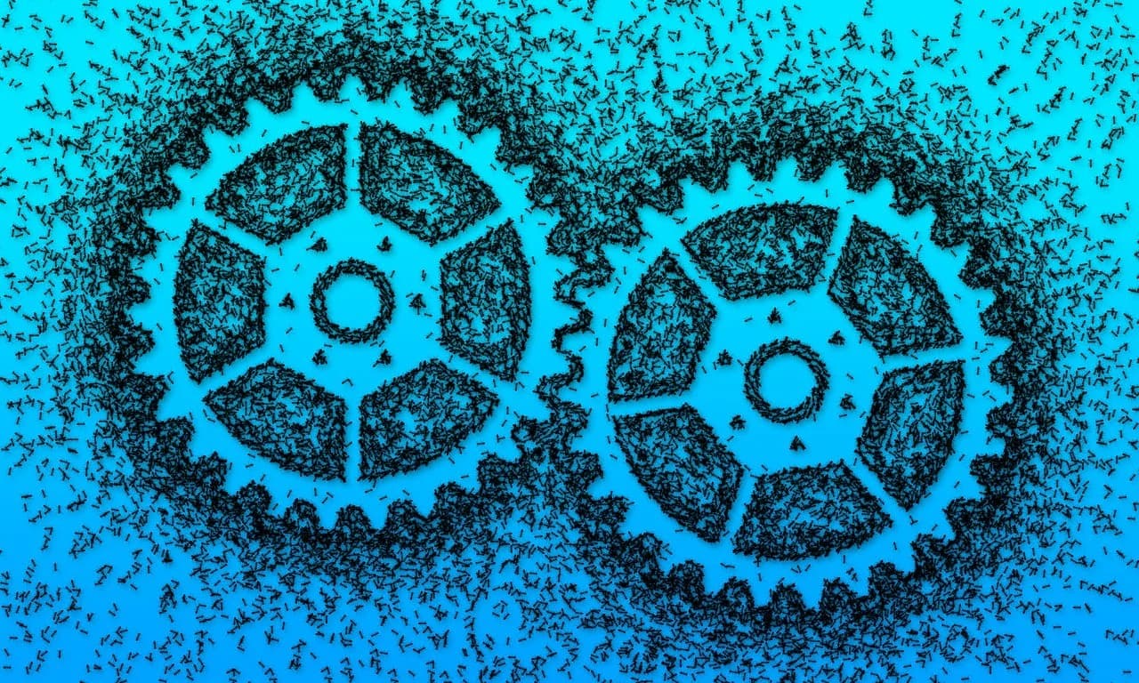 Gewinner für 2026: RZOLV Technologies, Evotec, Mutares haben es in sich – welche Entwicklungen sind entscheidend?