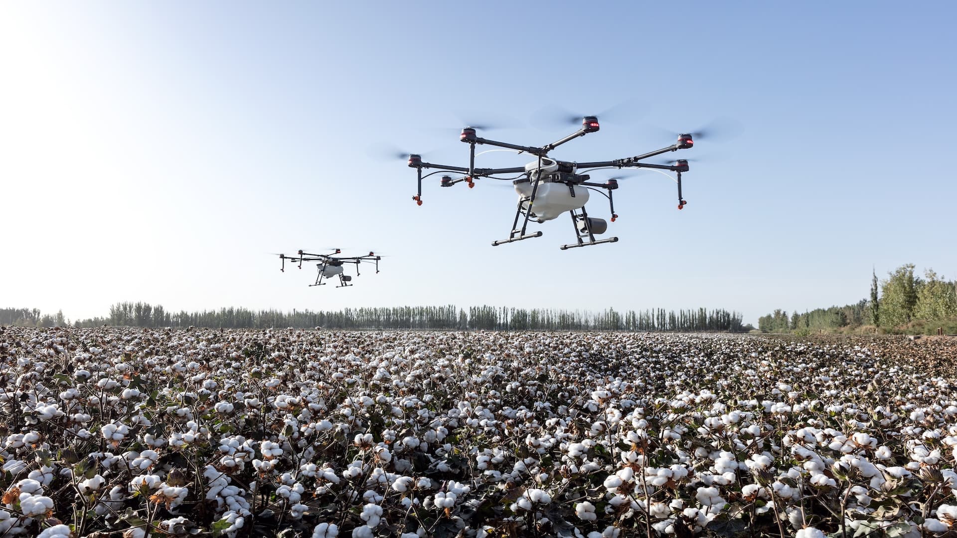 Drohnen-Taktik: AeroVironment, Volatus Aerospace oder DroneShield – wer hebt wieder ab?